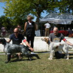 Résultats Expo de Sorges en Périgord le 03/09/2023