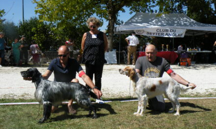 Résultats Expo de Sorges en Périgord le 03/09/2023