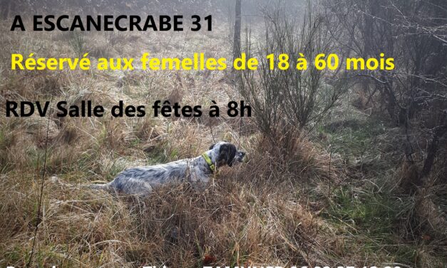 TAC à Escanecrabe (31) – samedi 25/11/2023