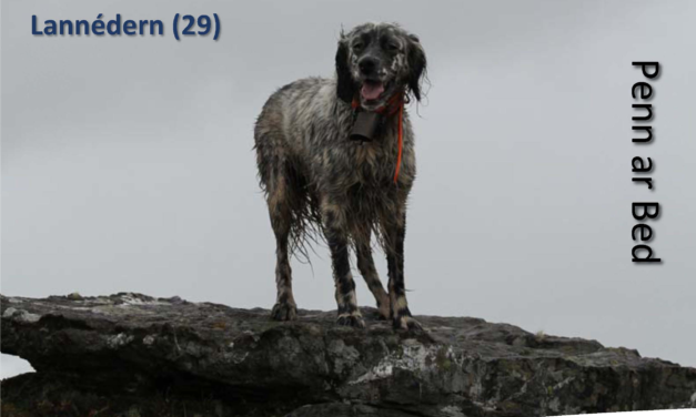 Régionale d&rsquo;élevage à Lannédern (29) samedi 25/11/2023
