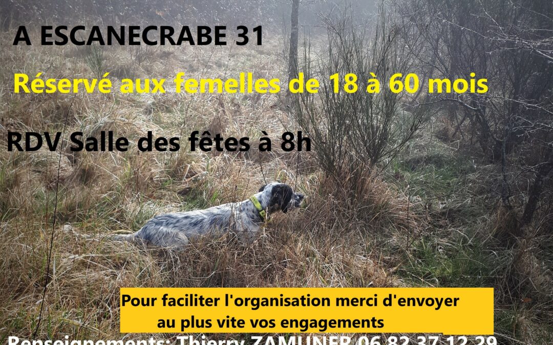 TAC à Escanecrabe (31) samedi 25/11/2023
