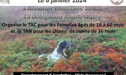 TAC et TAN à Annoisin-Chatelans (38) samedi 06/01/2024