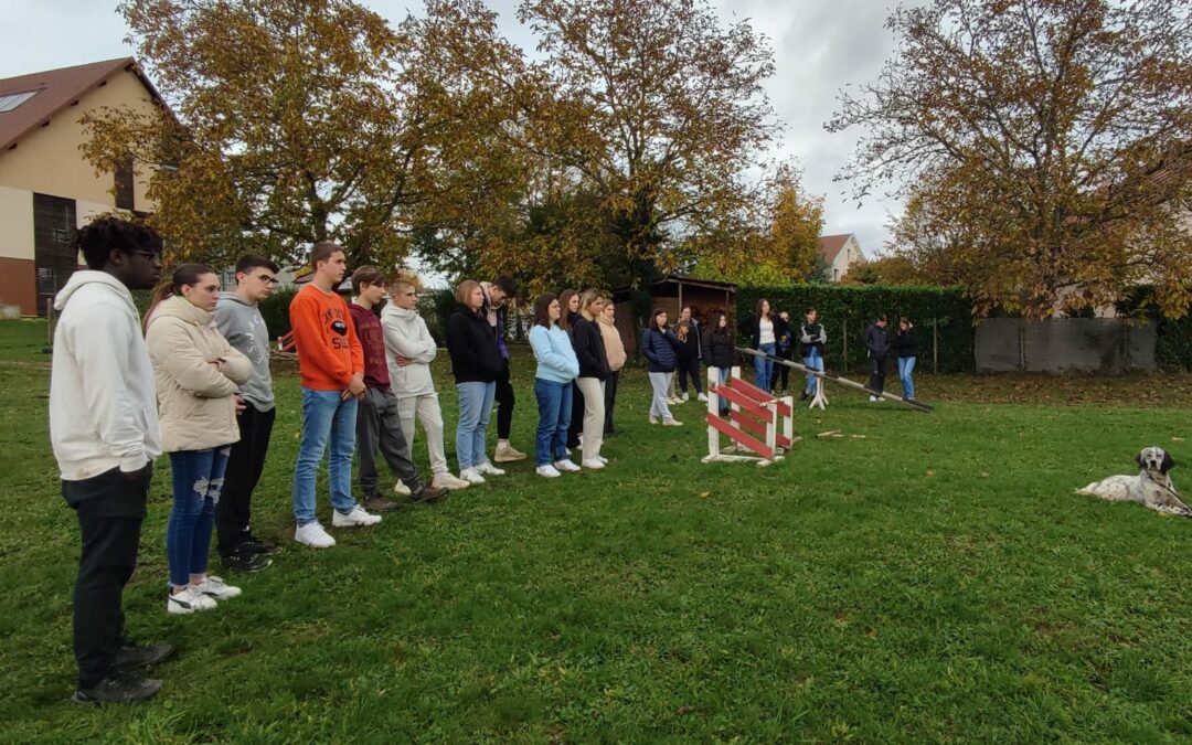 Présentation des qualités de chasse du setter anglais aux élèves de la MFR Le Village