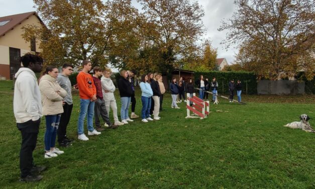 Présentation des qualités de chasse du setter anglais aux élèves de la MFR Le Village