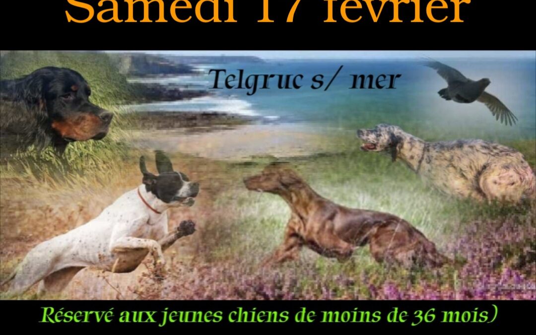 Masters inter-britanniques de Telgruc-sur-Mer (29) samedi 17/02/2024