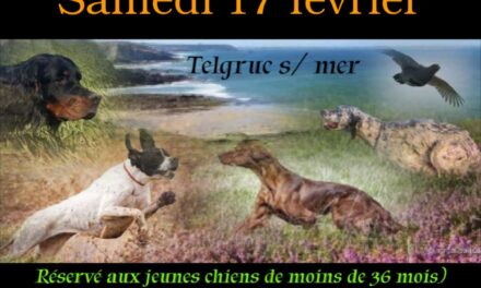 Masters inter-britanniques de Telgruc-sur-Mer (29) samedi 17/02/2024