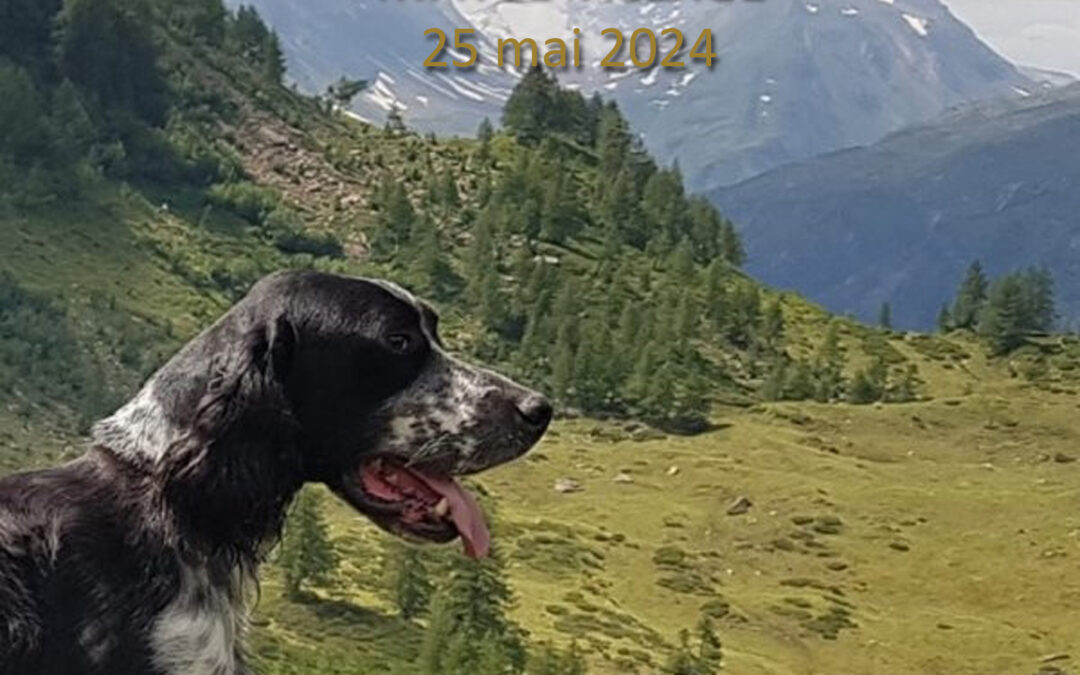 Nationale d’Elevage 2024