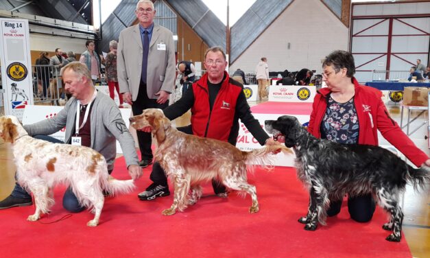 Résultats de l&rsquo;exposition d&rsquo;Amiens (28/04/2024)