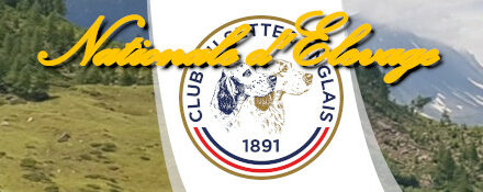 Nationale d’Elevage 2024 – St André le Gaz (38)