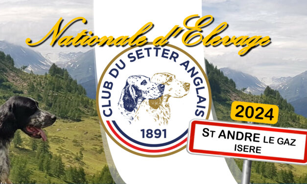 Nationale d&rsquo;élevage : ouverture du pré-ring à 8h