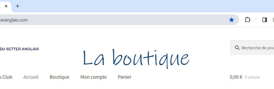 Nouvelle boutique en ligne