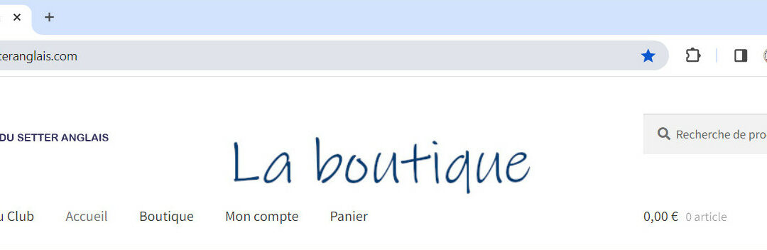 Nouvelle boutique en ligne