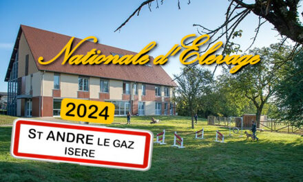 NE 2024 : hébergements à la MFR