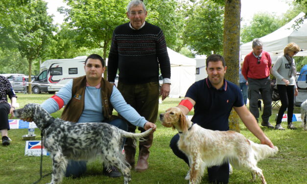 Résultats de l&rsquo;exposition d&rsquo;Aigrefeuille-d&rsquo;Aunis (17) du 19/05/2024