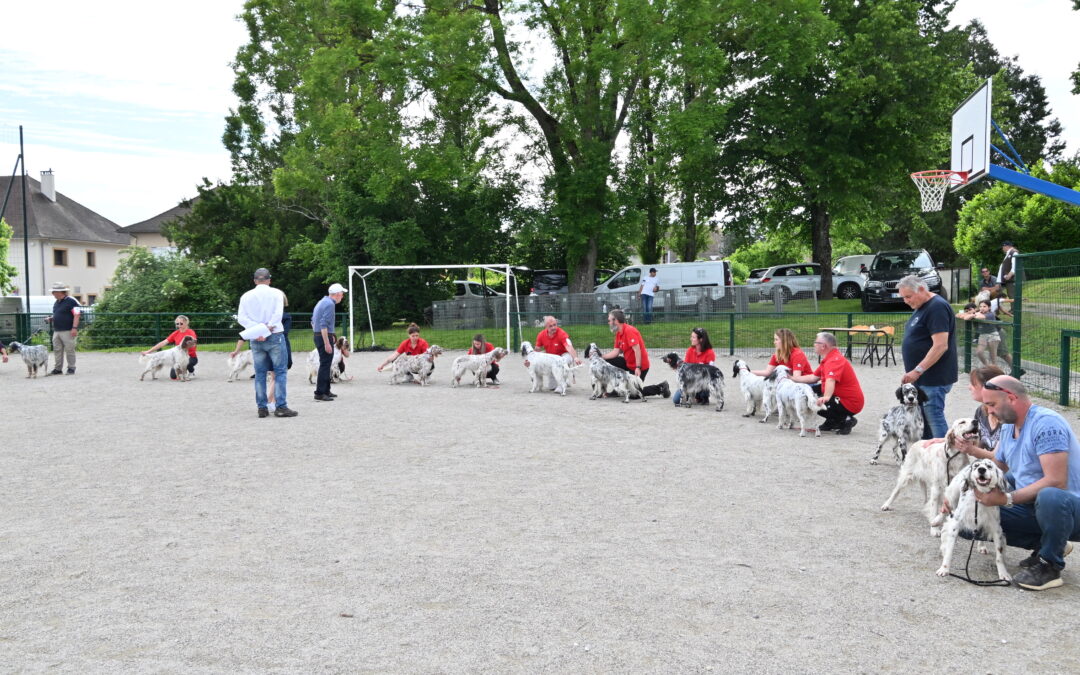 Nationale d’élevage 2024 : téléchargez le résultat de votre chien !