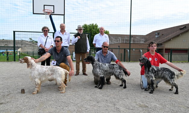 Résultats de la nationale d&rsquo;élevage 2024 à Saint-André-le-Gaz (38)
