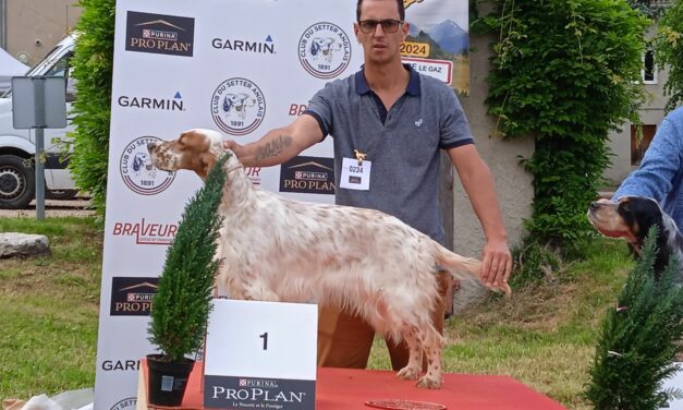 Retour sur la nationale d&rsquo;élevage de Saint-André-le-Gaz (38)