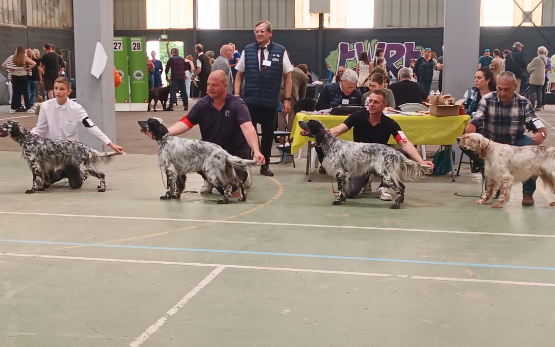 Résultats de l’exposition de Saint-Brieuc (22) du 12/05/2024