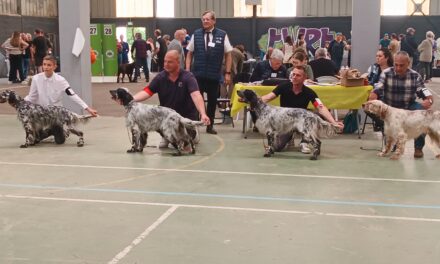 Résultats de l’exposition de Saint-Brieuc (22) du 12/05/2024