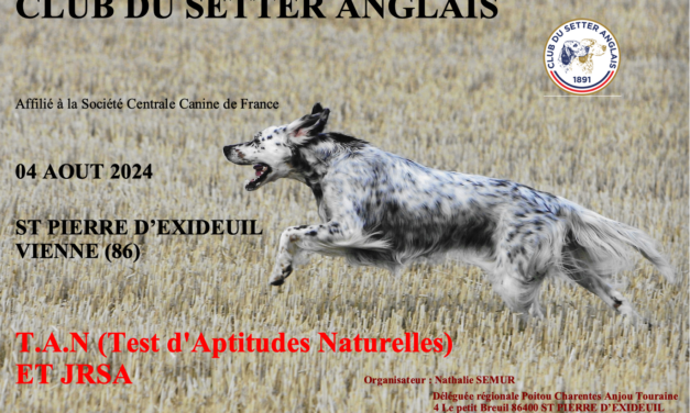 Saint-Pierre-d&rsquo;Exideuil (86) : TAN et JRSA le 04/08/2024