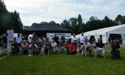 Résultats expo RE Boulazac 08/06/2024