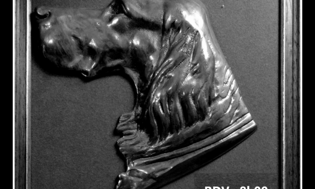 TAN de Jans (44) dimanche 21/07/2024