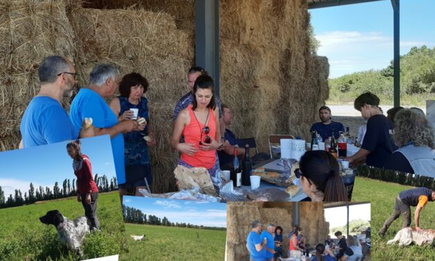 TAN d&rsquo;Entressen (13) dimanche 30/06/2024