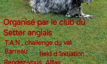 TAN d’Aillas (33) dimanche 21/07/2024