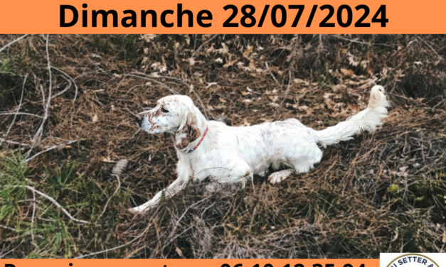 TAN du Lot-et-Garonne dimanche 28/07/2024