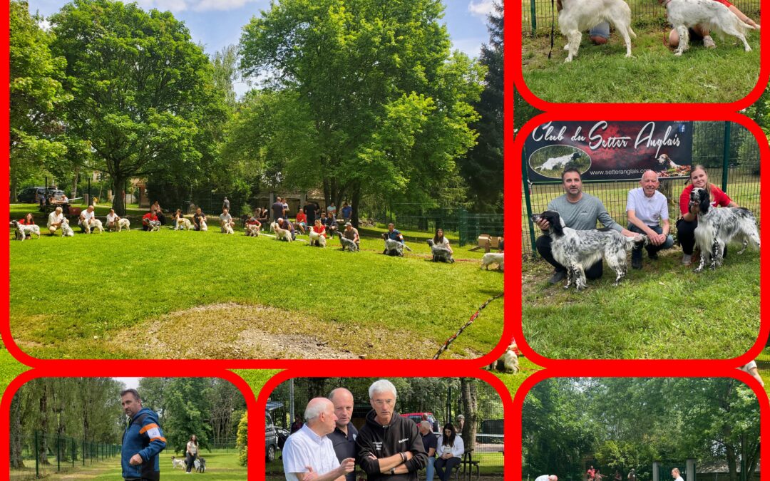 Résultats expo Châtillon-La-Palud 07/07/2024