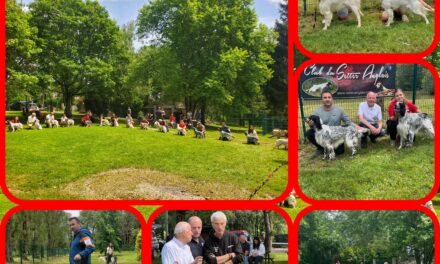 Résultats expo Châtillon-La-Palud 07/07/2024