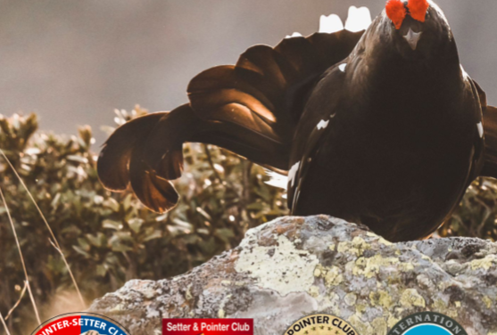 Championnats d&rsquo;Europe montagne 2024
