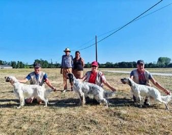 Résultats de la régionale d’élevage de Pontonx-sur-l’Adour (40) du 04/08/2024