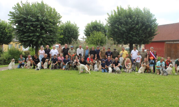 Résultats TAN d&rsquo;Harbonnières (80) du 04/08/2024