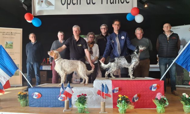 Résultats concours – Open de France Quête de chasse 30/03/2025