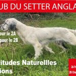 TAN région Corse les 12 & 13 avril 2025