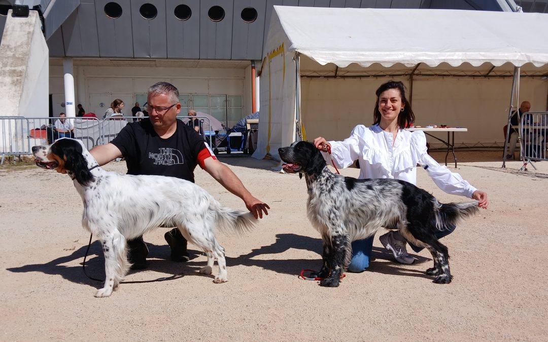 Résultats de l’exposition de Martigues (13) du 20/04/2025