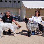 Résultats de l’exposition de Martigues (13) du 20/04/2025