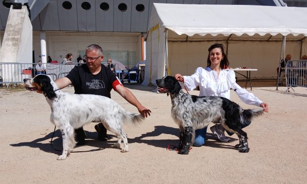 Résultats de l’exposition de Martigues (13) du 20/04/2025