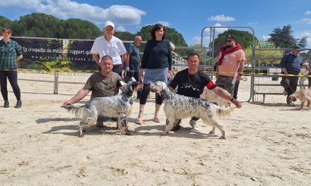 Résultats de la régionale d’élevage d’Uzès (30) du 12/04/2025