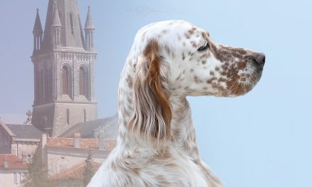 Nationale d’élevage de Villetoureix (24) : le programme