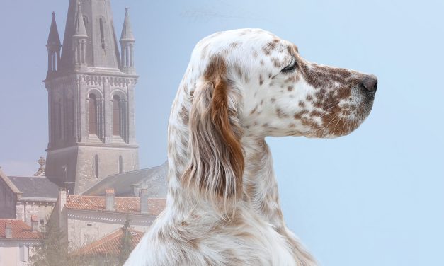 Nationale d’élevage de Villetoureix (24) : le programme