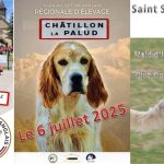 Été 2025 : vos rendez-vous en région Rhône-Alpes
