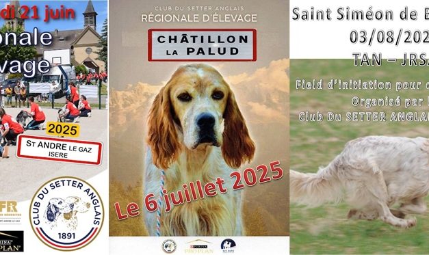 Été 2025 : vos rendez-vous en région Rhône-Alpes