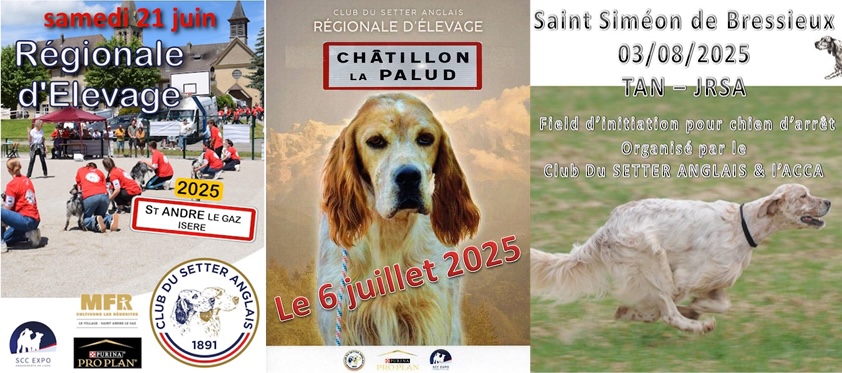 Été 2025 : vos rendez-vous en région Rhône-Alpes