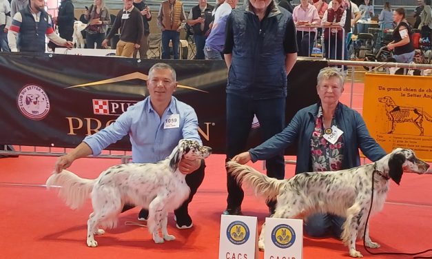 Résultat de la spéciale d’Amiens du 27/04/2025