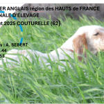 Hauts-de-France : TAN, JRSA et régionale d’élevage à Couturelle (62) le 09/08/2025