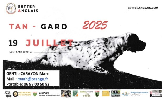 Été 2025 : vos rendez-vous en Languedoc-Roussillon