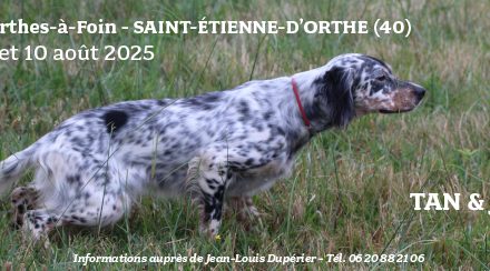 TAN & JRSA des Landes les 9 et 10 août 2025
