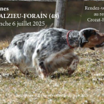 TAN de la Lozère le 06/07/2025